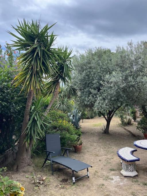 Maison De Village Vintage Avec Grand Jardin Elne Exteriör bild
