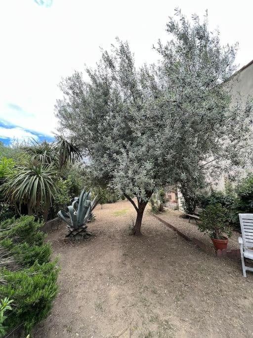 Maison De Village Vintage Avec Grand Jardin Elne Exteriör bild